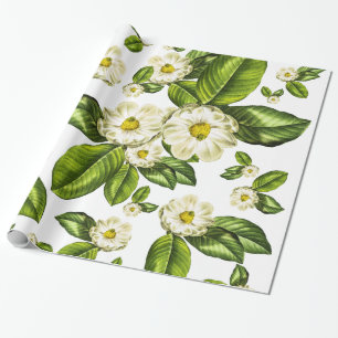 Magnolien-Blumen-botanisches Verpackungs-Papier Geschenkpapier