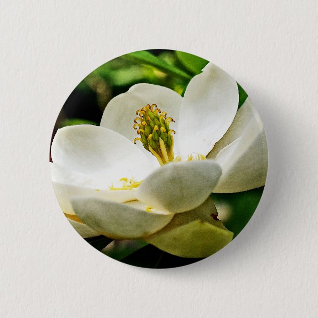 Magnolien-Blumen-nahes hohes Button (Vorderseite)