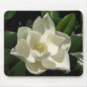 Magnolien-Blüte Mousepad