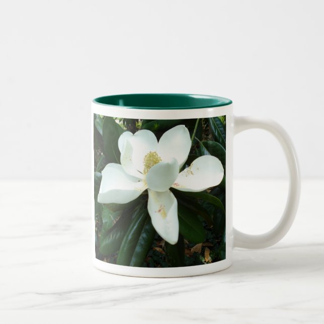 Magnolien-Blüte Zweifarbige Tasse (Rechts)