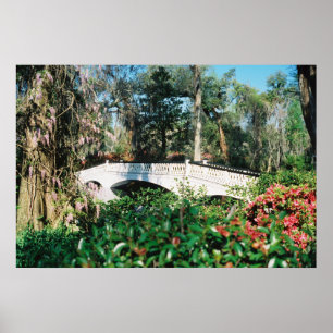 Magnolien-Brücke Poster