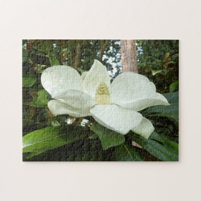 Magnolien-GrandifloraFoto-Puzzlespiel mit Puzzle (Horizontal)