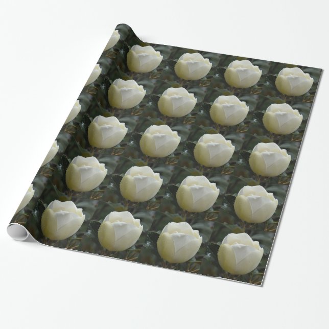 Magnolien-Grandiflorageschenk-Verpackung Geschenkpapier (Ungerollt)
