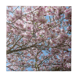 Magnolien im April Fliese