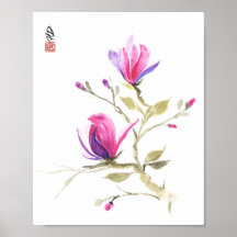 Magnolien im Frühlingslicht