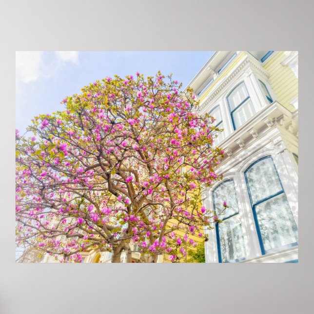 Magnolien im Viktorianischen Haus blühen Poster (Vorne)
