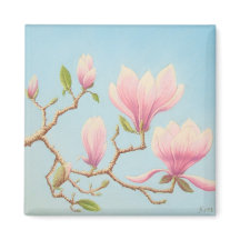 Magnolien in Bloom, Wisley Gardens, Pastel