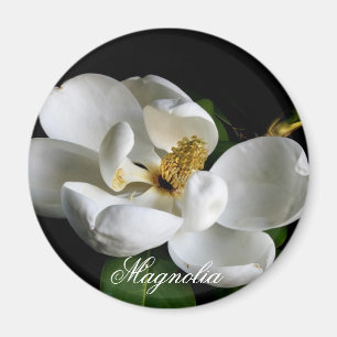 Magnolien-Magnet Magnet