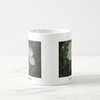 Magnolien-Tasse Kaffeetasse