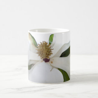 Magnolien-Tasse Tasse