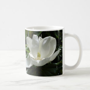 Magnolien-Tasse Tasse