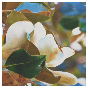 Magnolien-Weiß-Blumen Stoff