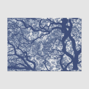 Magnolienbaum - Cyanotypeneffekt Seidenpapier