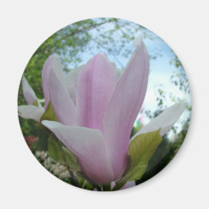 Magnolienblüte Magnet