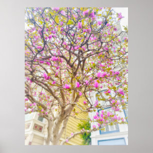 Magnolienblüten poster