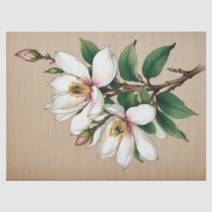Magnolienblüten Seidenpapier