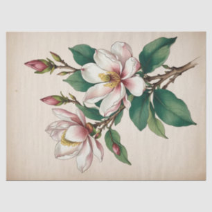 Magnolienblüten Seidenpapier