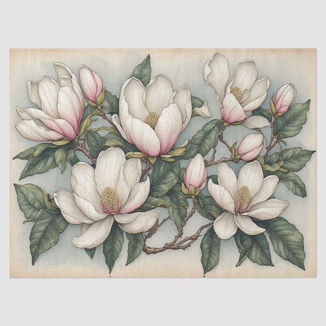 Magnolienblüten Seidenpapier (Vorderseite)