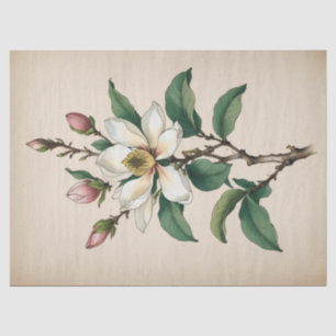 Magnolienblüten Seidenpapier