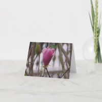 Magnolienkarte