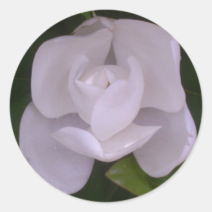 Magnoliensticker Runder Aufkleber
