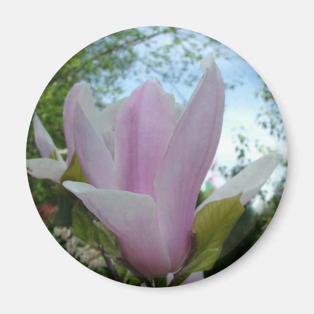 magnolische Blume Magnet (Vorne)