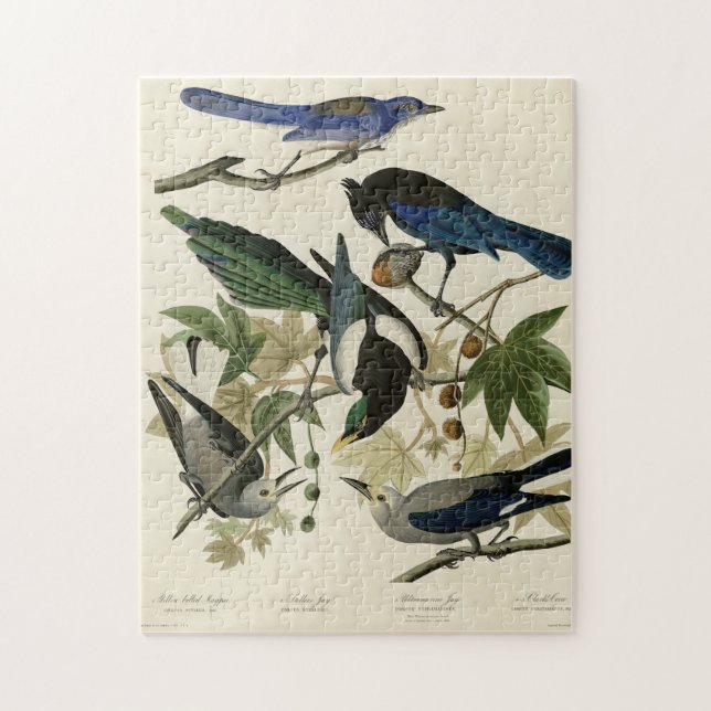 Magpie Jay & Nutcracker Audubon Birds of America Puzzle (Vertikal)