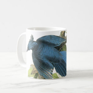 Magpie Jay von Audubon Kaffeetasse