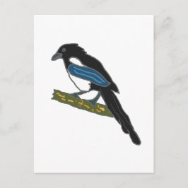 Magpie Postkarte