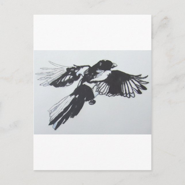Magpie Postkarte (Vorderseite)