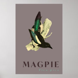 Magpie Vogel Vintage Poster