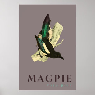 Magpie Vogel Vintage Poster