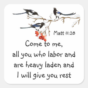 Magpies Bird Bible Scripture, Matt 11:28 Quadratischer Aufkleber