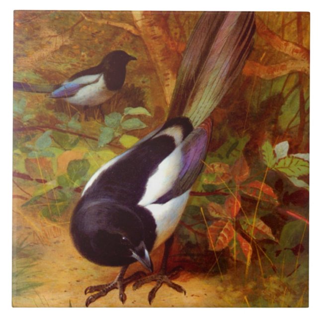 Magpies Fliese (Vorderseite)