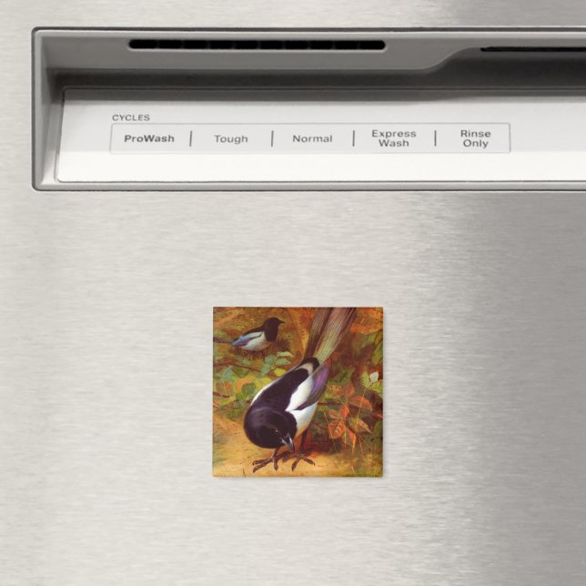 Magpies Magnet (In Situ (Geschirrspüler))