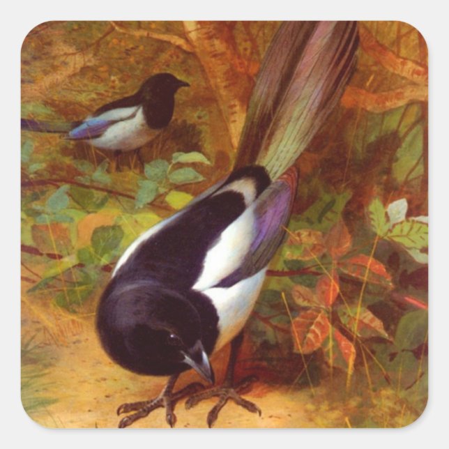 Magpies Quadratischer Aufkleber (Vorderseite)