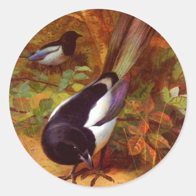 Magpies Runder Aufkleber (Vorderseite)