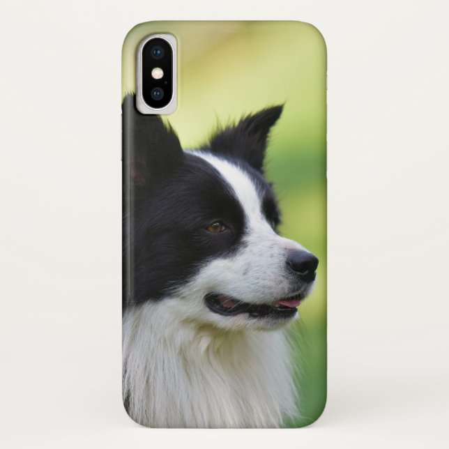 Magyar Vizsla Case-Mate iPhone Hülle (Rückseite)