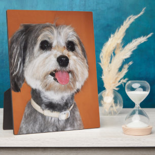 Magyar Vizsla Dog Fotoplatte