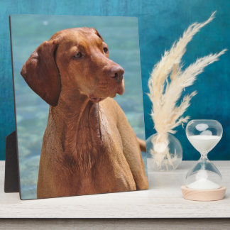 Magyar Vizsla Dog Fotoplatte