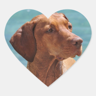 Magyar Vizsla Dog Herz-Aufkleber
