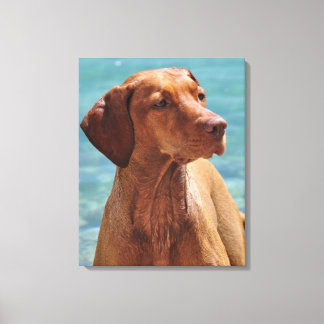 Magyar Vizsla Dog Leinwanddruck