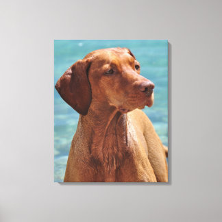 Magyar Vizsla Dog Leinwanddruck