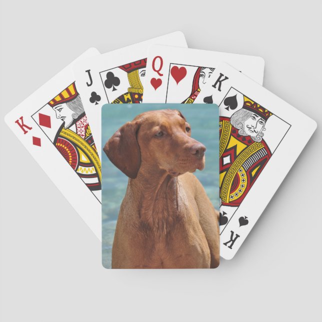 Magyar Vizsla Dog Spielkarten (Rückseite)