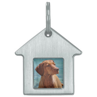 Magyar Vizsla Dog Tiermarke