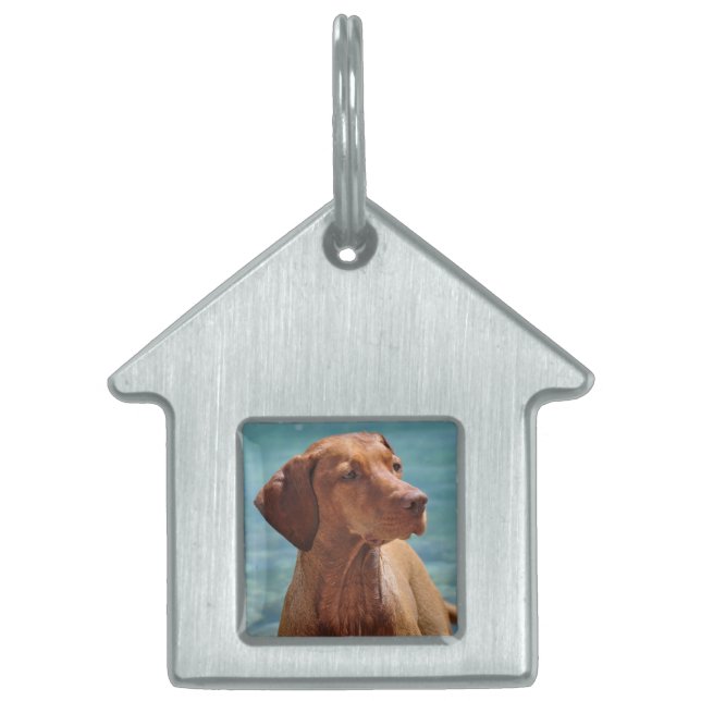 Magyar Vizsla Dog Tiermarke (Vorderseite)