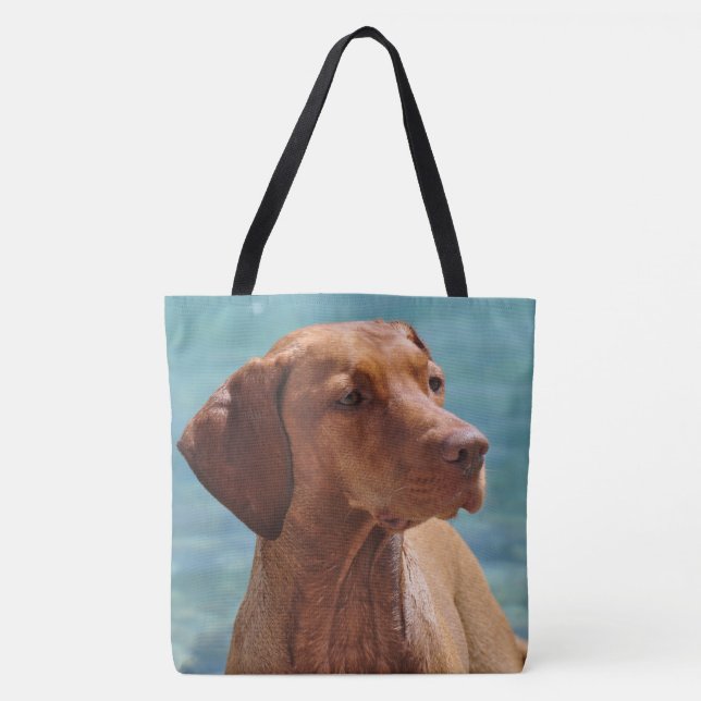Magyar Vizsla Hund (Vorderseite)