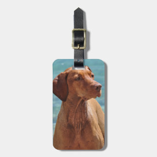 Magyar Vizsla Hund Gepäckanhänger