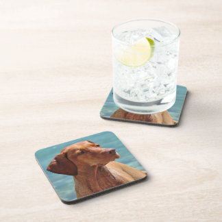 Magyar Vizsla Hund Getränkeuntersetzer