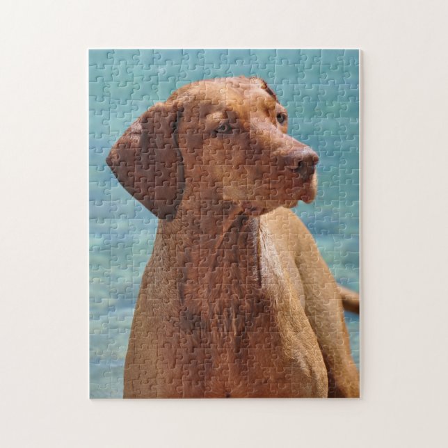 Magyar Vizsla Hund Puzzle (Vertikal)
